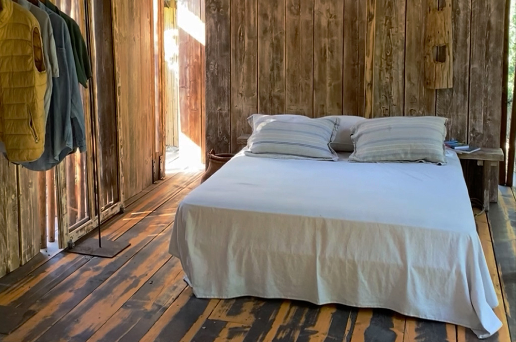 Sunlit forest path surrounded by green grass, trees, and scattered rocks with a small stone sculpture on the right.