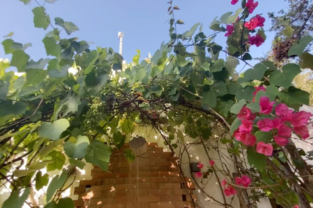 Outdoor shower with water flowing, surrounded by green grapevine leaves and pink flowers against a blue sky.