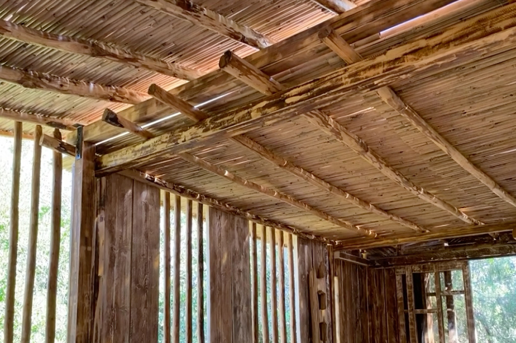 Outdoor shower with water flowing from a showerhead surrounded by green grapevine leaves and pink flowers.