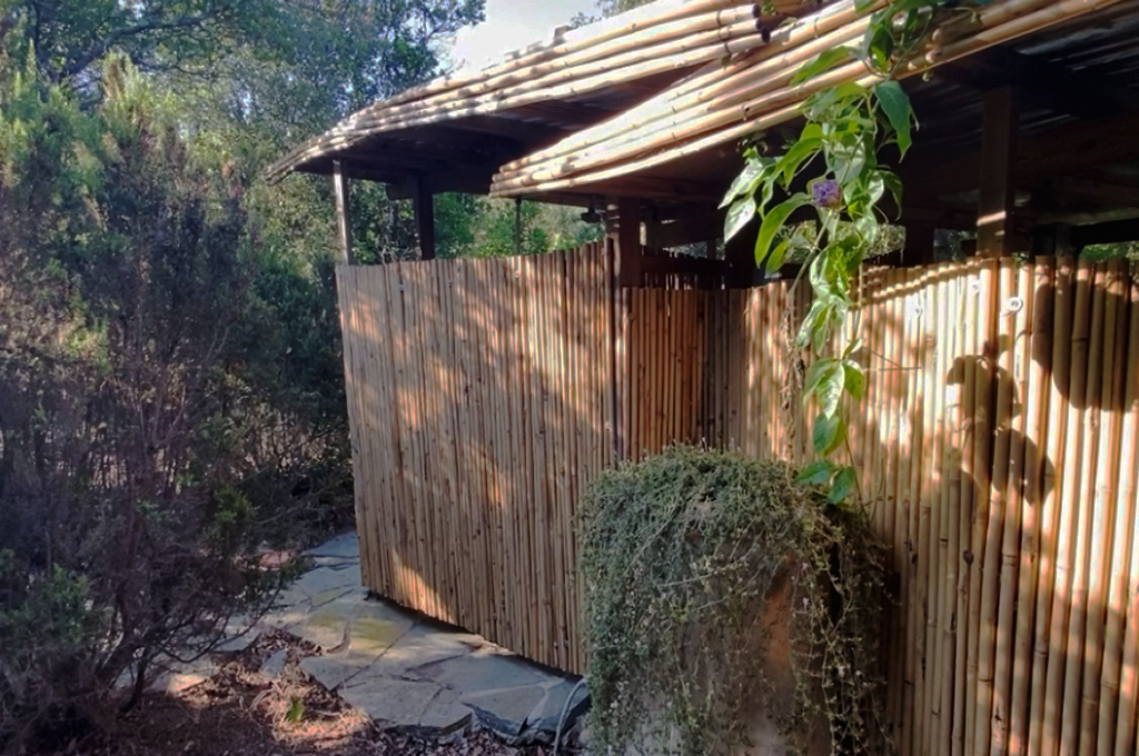 Outdoor area with a bamboo fence and roof, a stone pathway, and plants including a hanging vine with small purple flowers and bushy greenery near the fence.