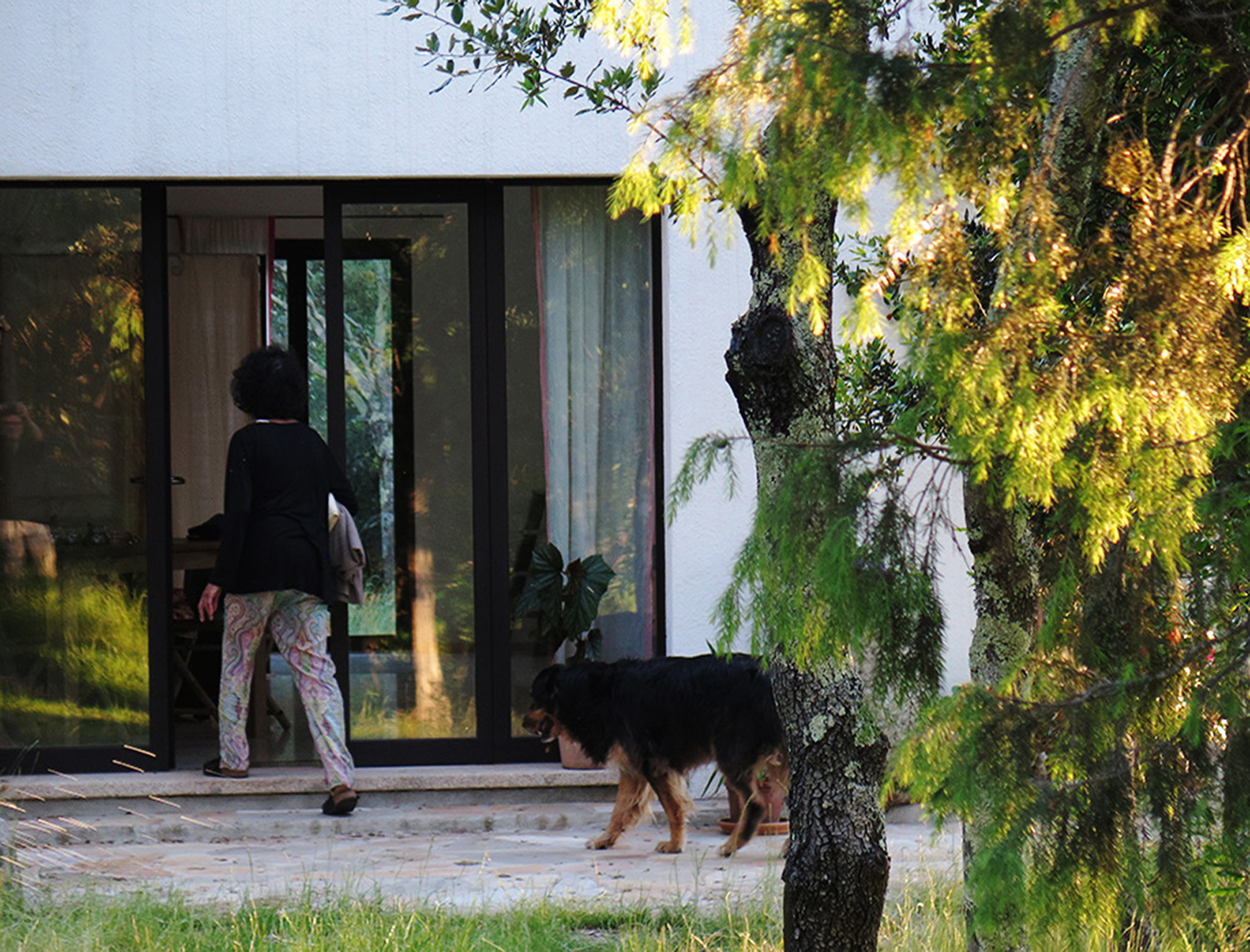 Person in patterned pants and black top walking towards glass doors of a house with a large black dog beside them and green trees in the foreground.