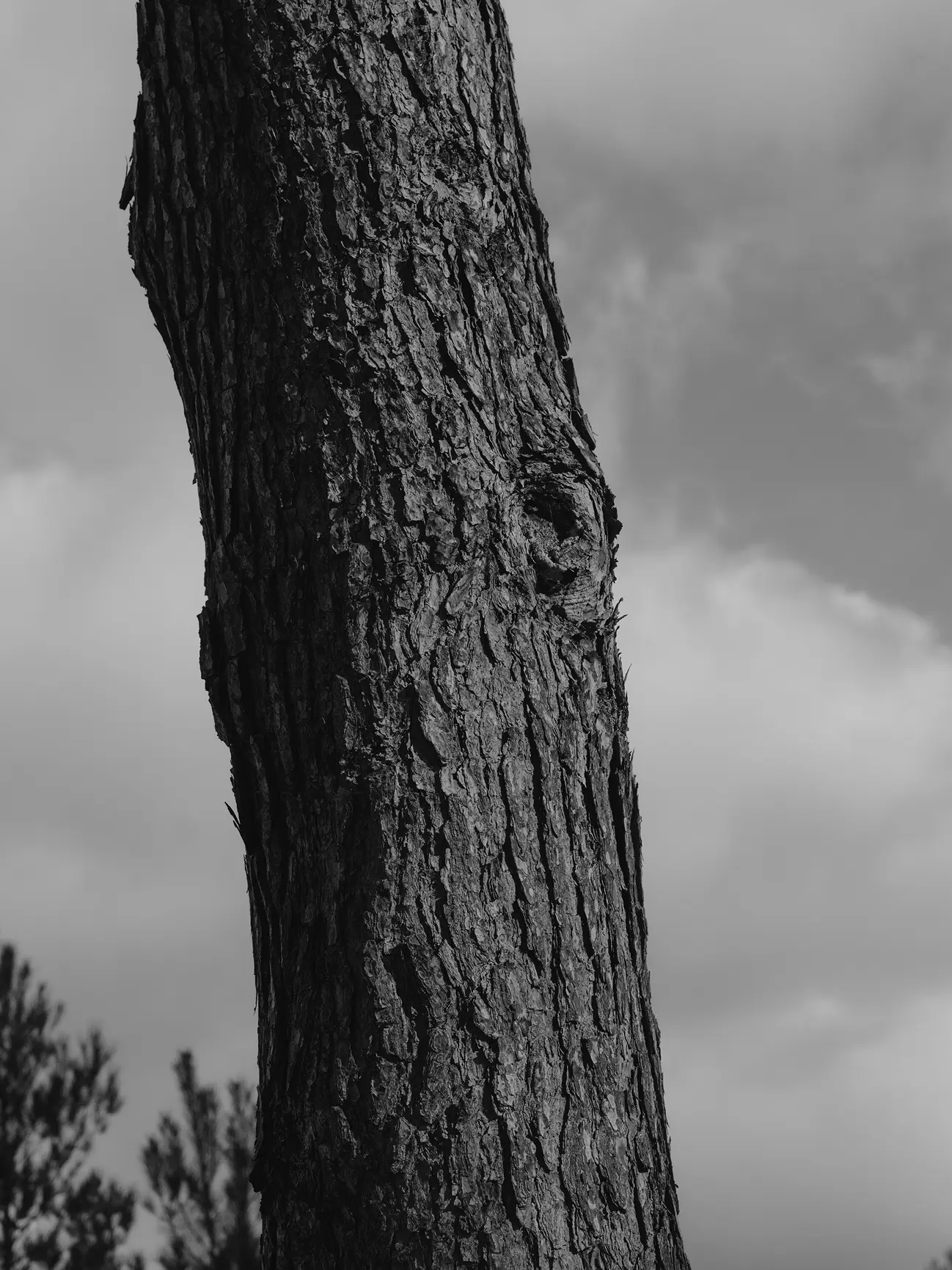 ISSE relier les mondes 3