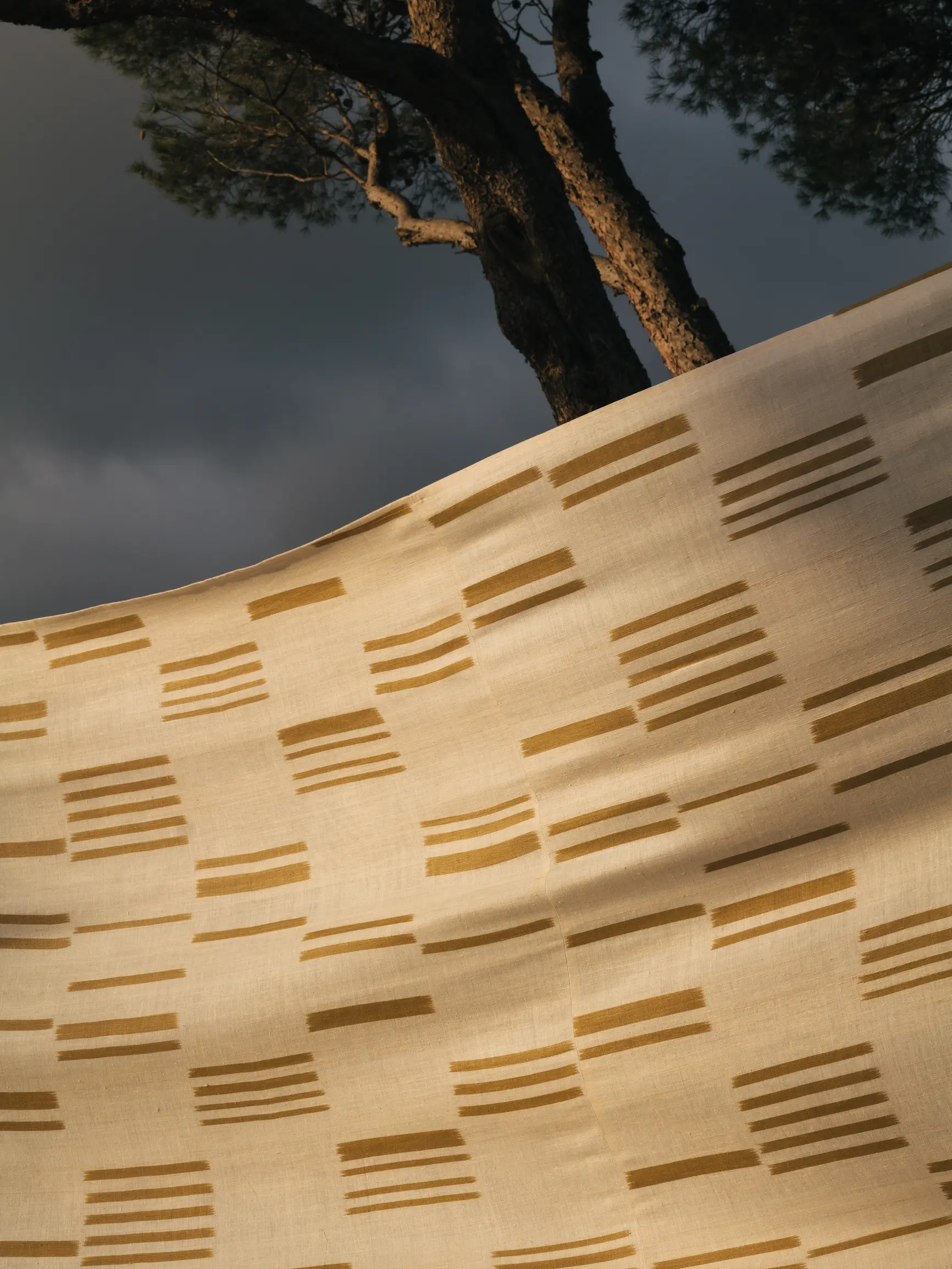 ISSE relier les mondes 7