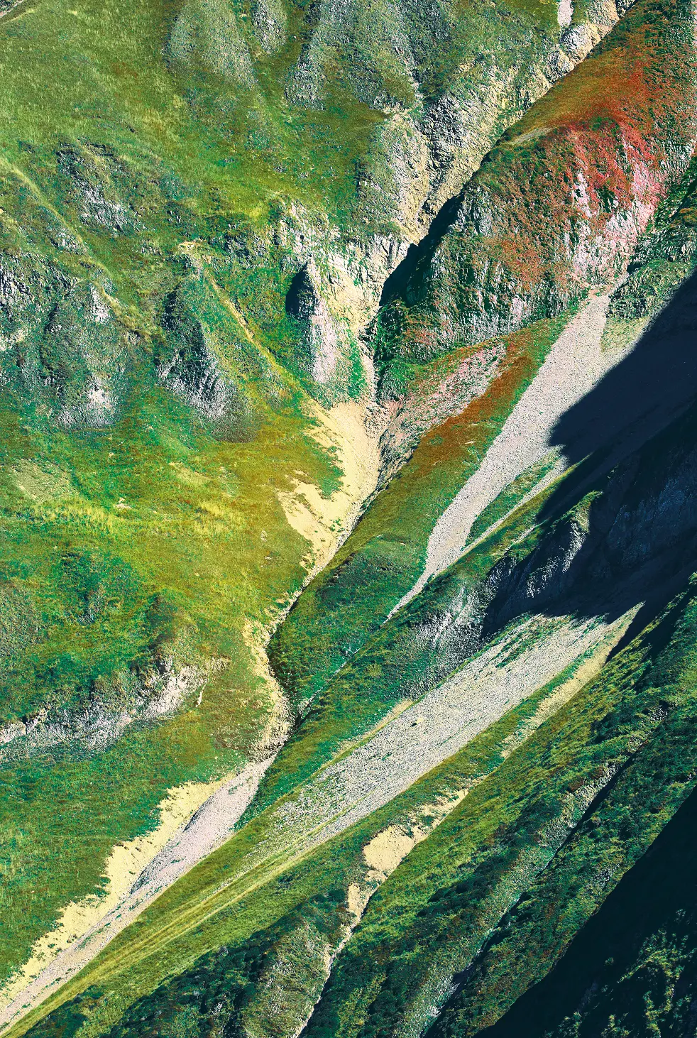 SALOMON - This is trail running 5