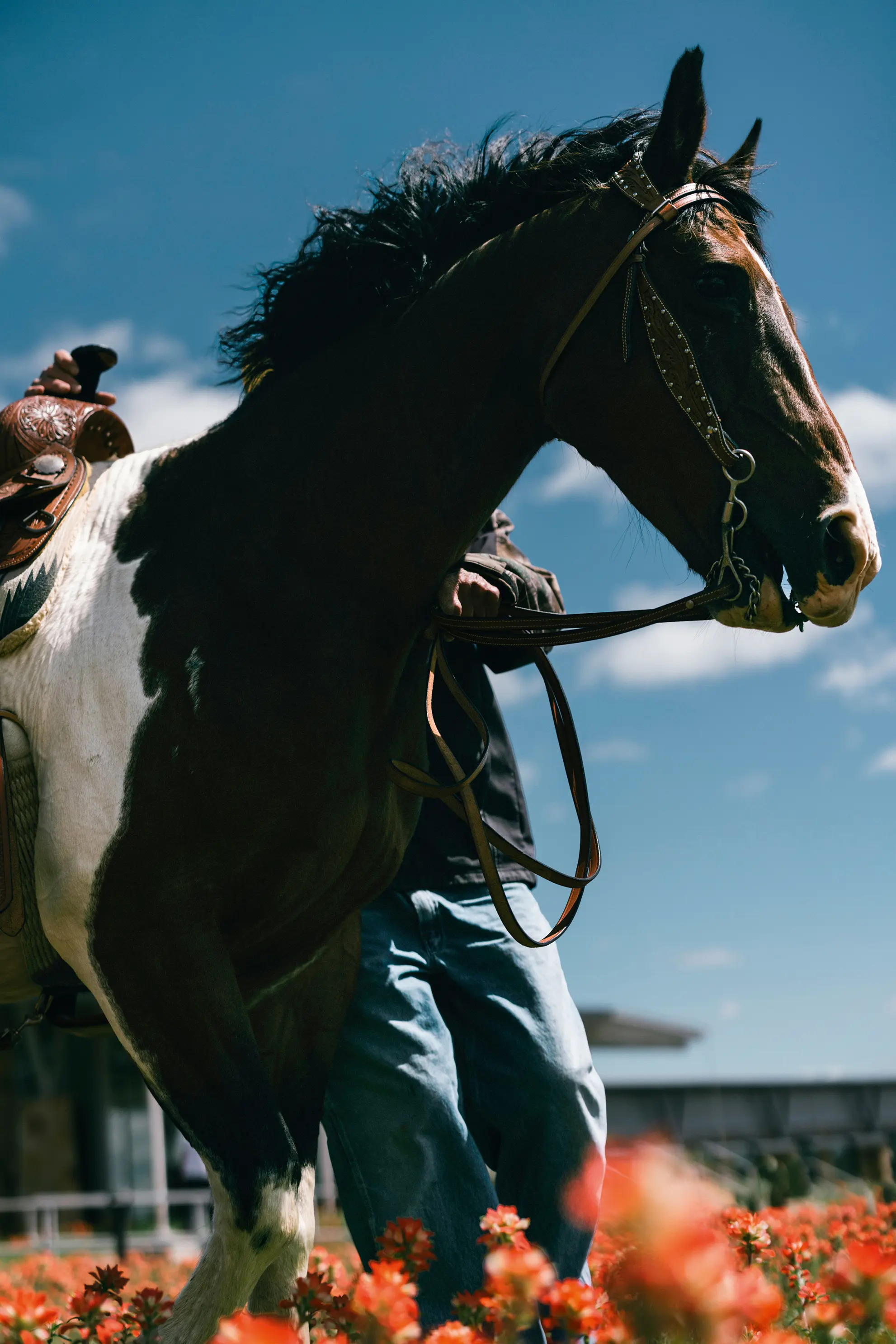 LVMH - Magazine Eyes 1