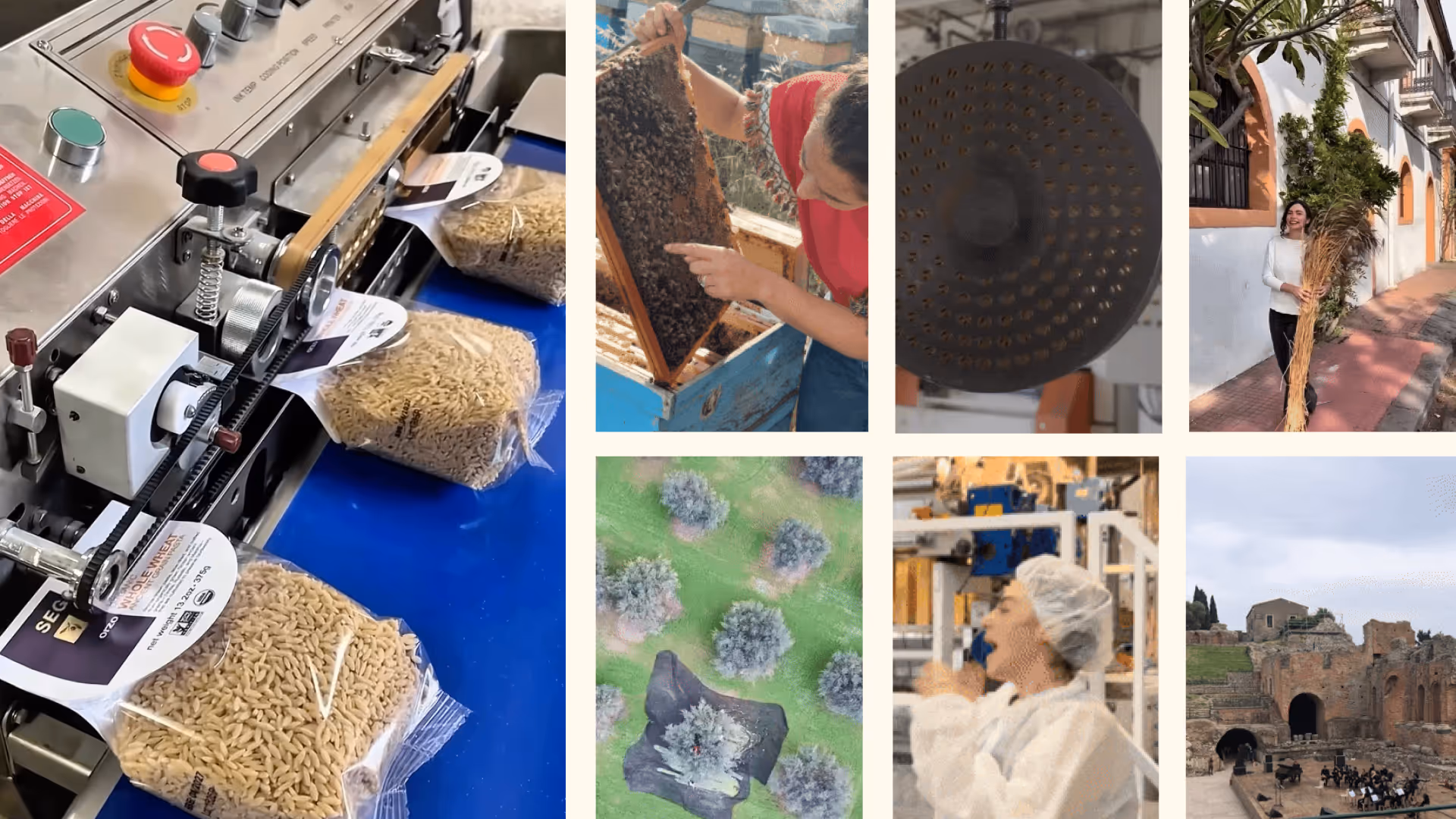 Collage of Seggiano organic social posts highlighting people (producers & customers), place (Italy) and process (packaging, olive harvesting).