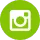 Green Instagram logo icon on a white background