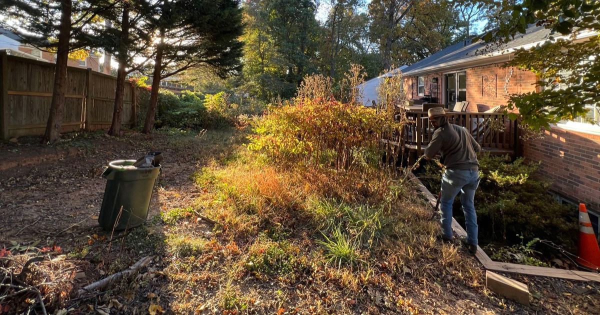 Person working in backyard during autumn, with fallen leaves and sunlight