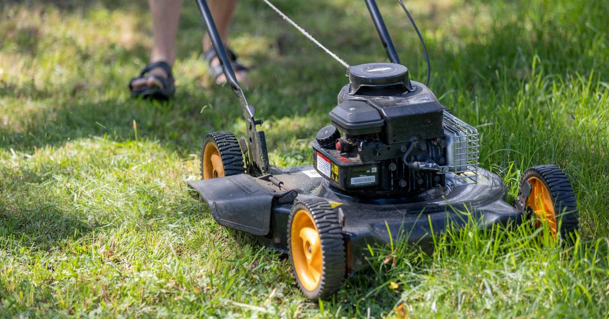 Lawn mower cutting grass on a sunny day in a green backyard