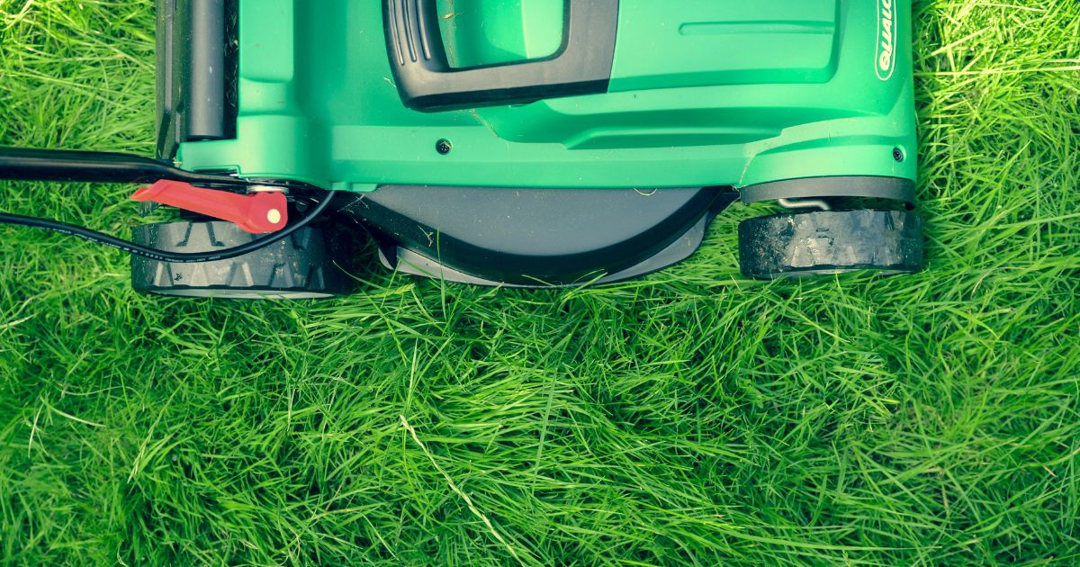 Green lawn mower cutting fresh, vibrant green grass close-up