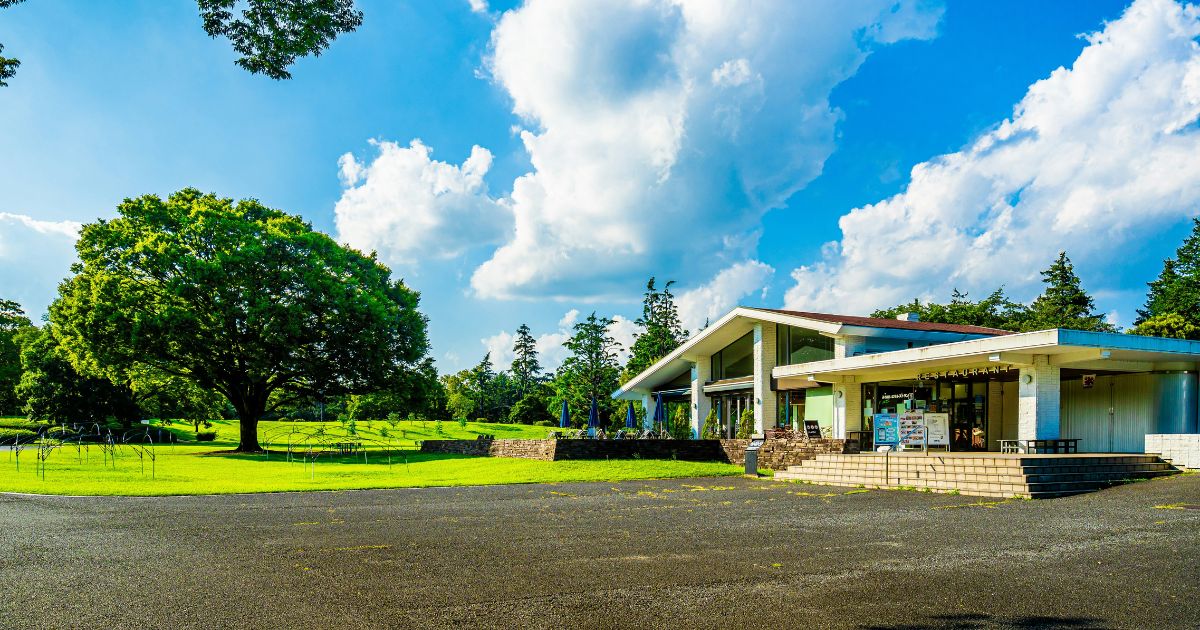 Modern building near green park with large tree and blue sky