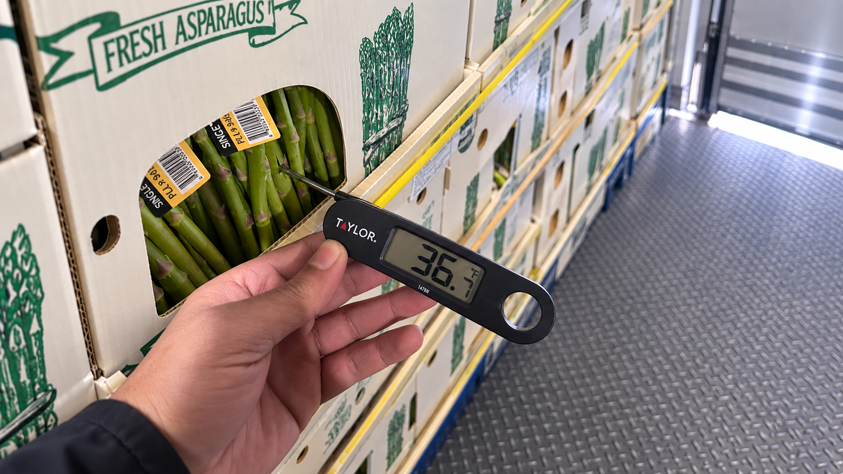 A hand holding a digital probe thermometer reading 36.7 degrees Fahrenheit, the probe pushed through the vent hole of a carton of fresh asparagus in a refrigerated trailer.