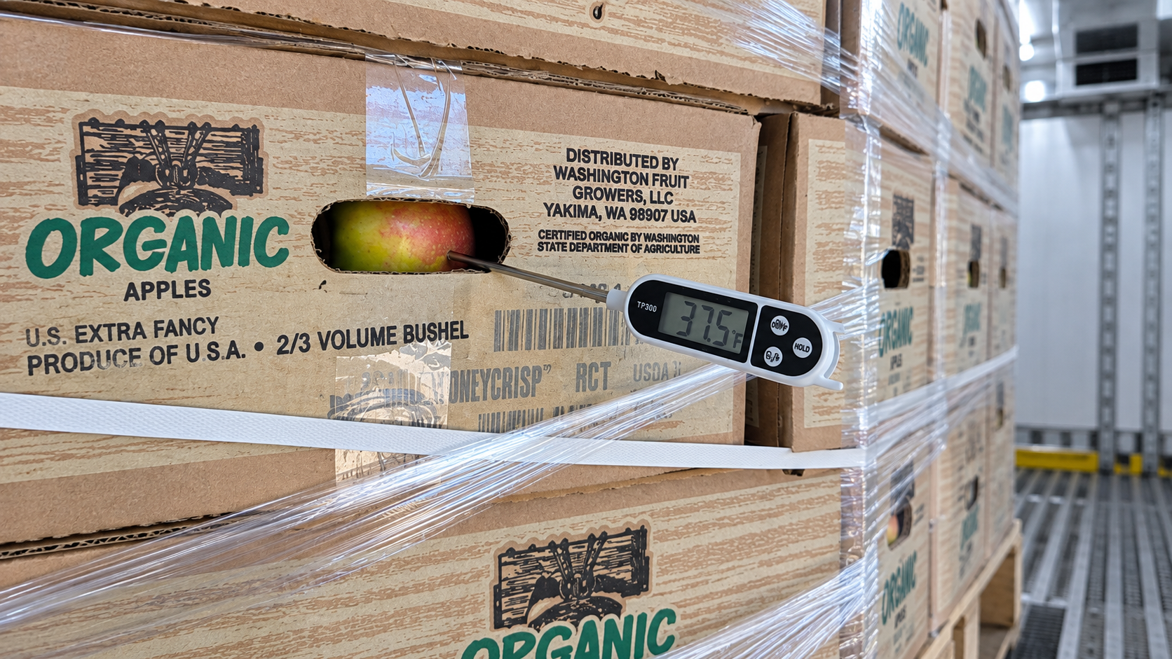 A digital probe thermometer reading 37.5 degrees Fahrenheit, the probe pushed through the vent hole of a carton of organic Honeycrisp apples on a strapped and wrapped pallet in a refrigerated trailer.