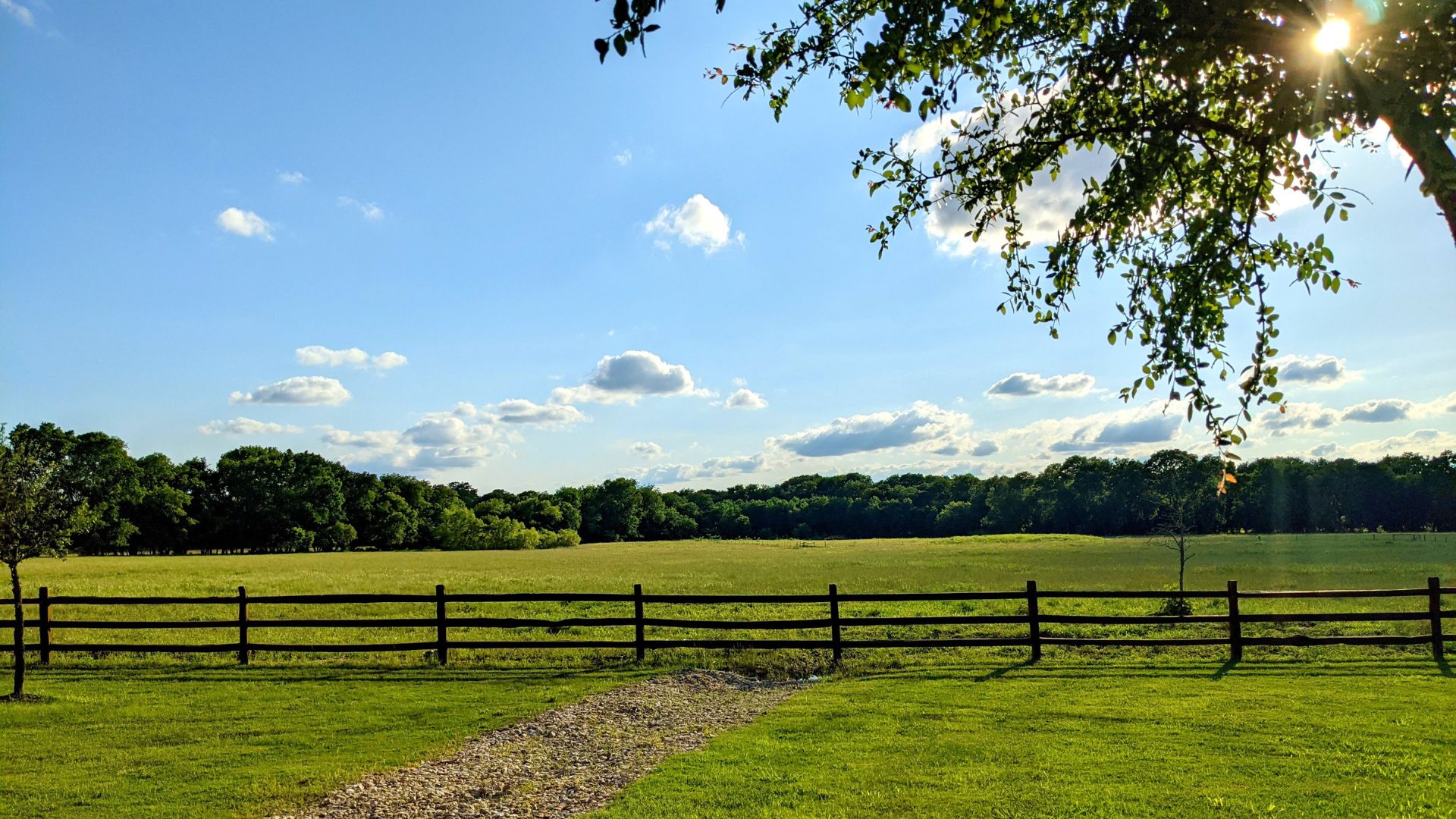 Green pasture with a dark wooden fence and a line of trees under a blue sky with scattered clouds