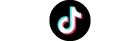 TikTok Logo Icon