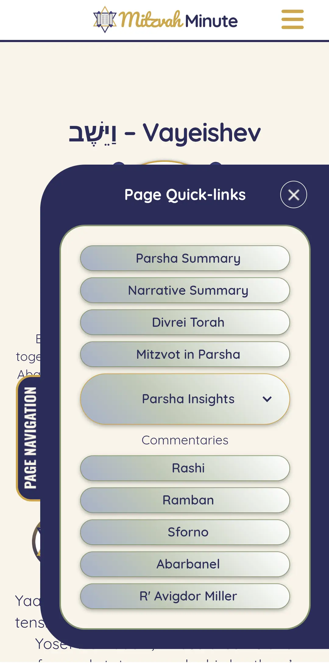 Image showing the page navigation tab open