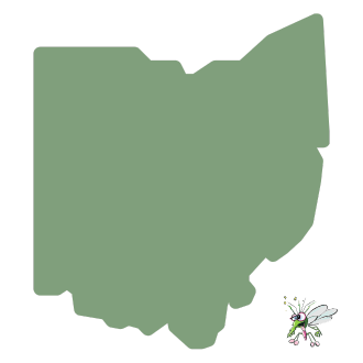 Ohio Outline Icon