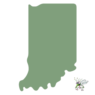 Indiana Outline Icon