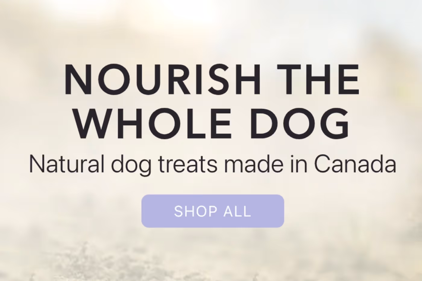 Text graphic reading 'Nourish the whole dog – natural dog treats made in Canada."