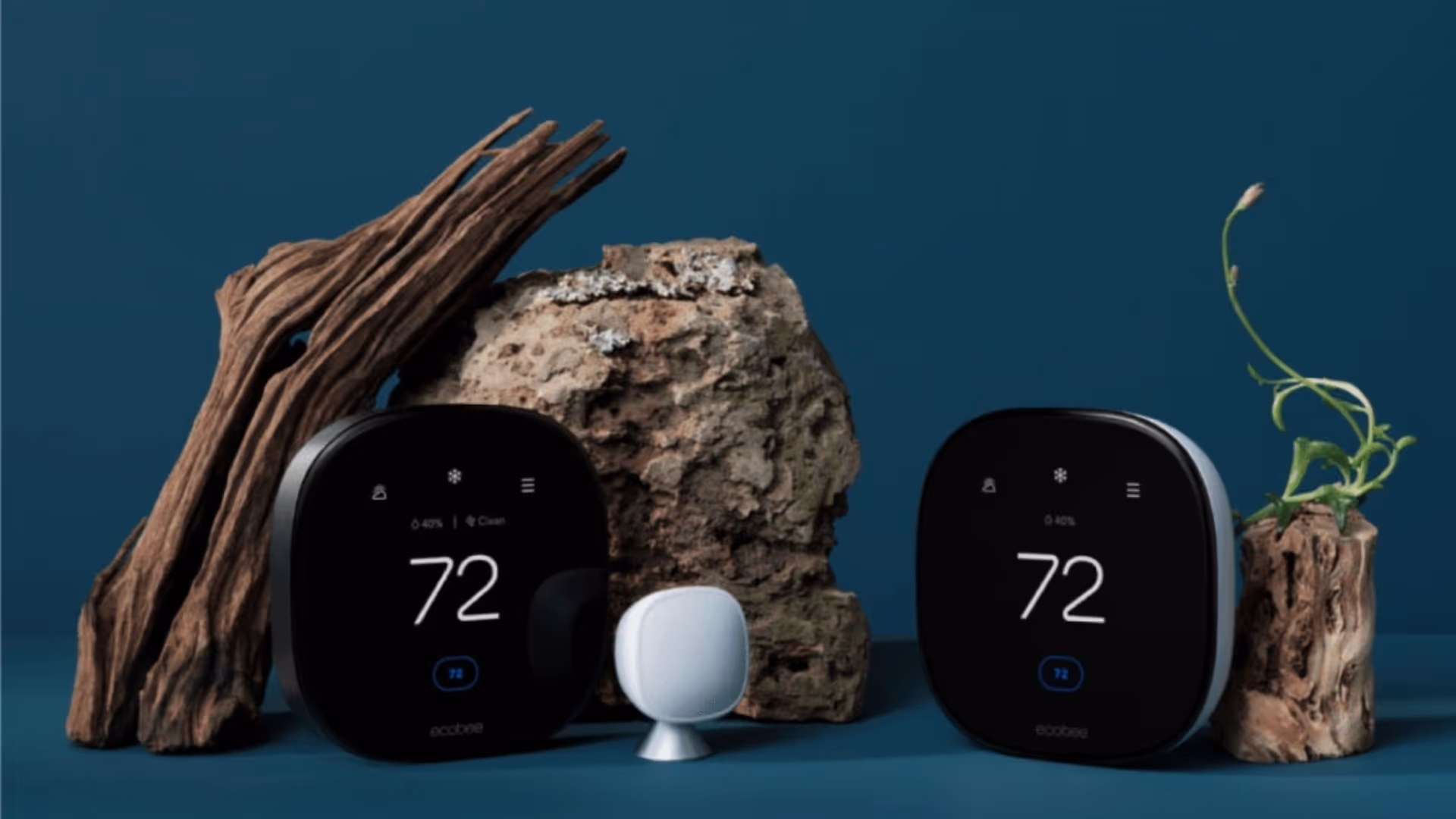 Two Ecobee smart thermostats and a sensor displayed against a dark teal background, styled with driftwood and plants to emphasize eco-friendly design.
