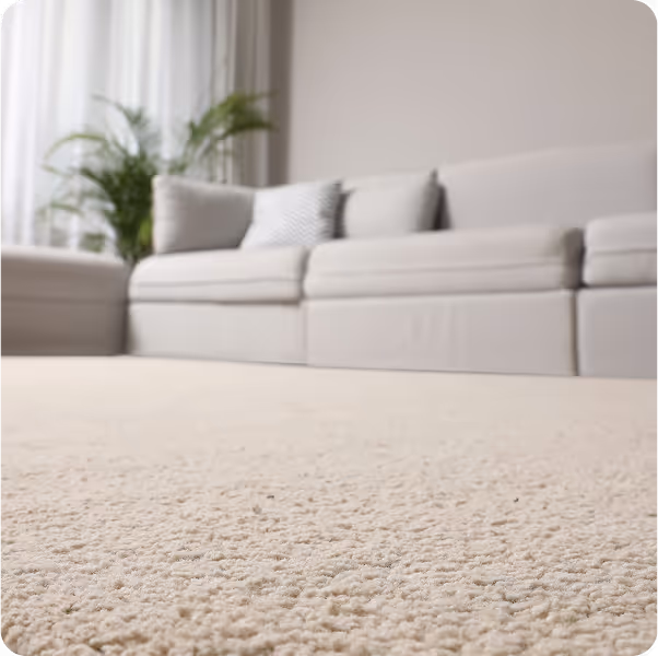 A photo at a low angle of clean carpet with a cream couch in the background.