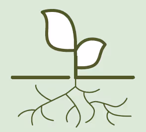 Strong Roots: Dense rich foundation for root resilience.
