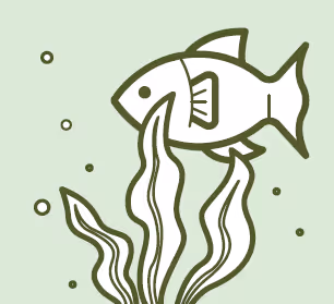 Marine Powered: A dense bio-stimulate to nourish soil and fuel plant growth.
