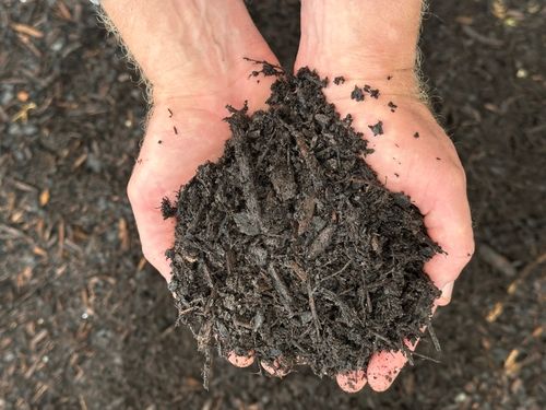 Myco Mulch
