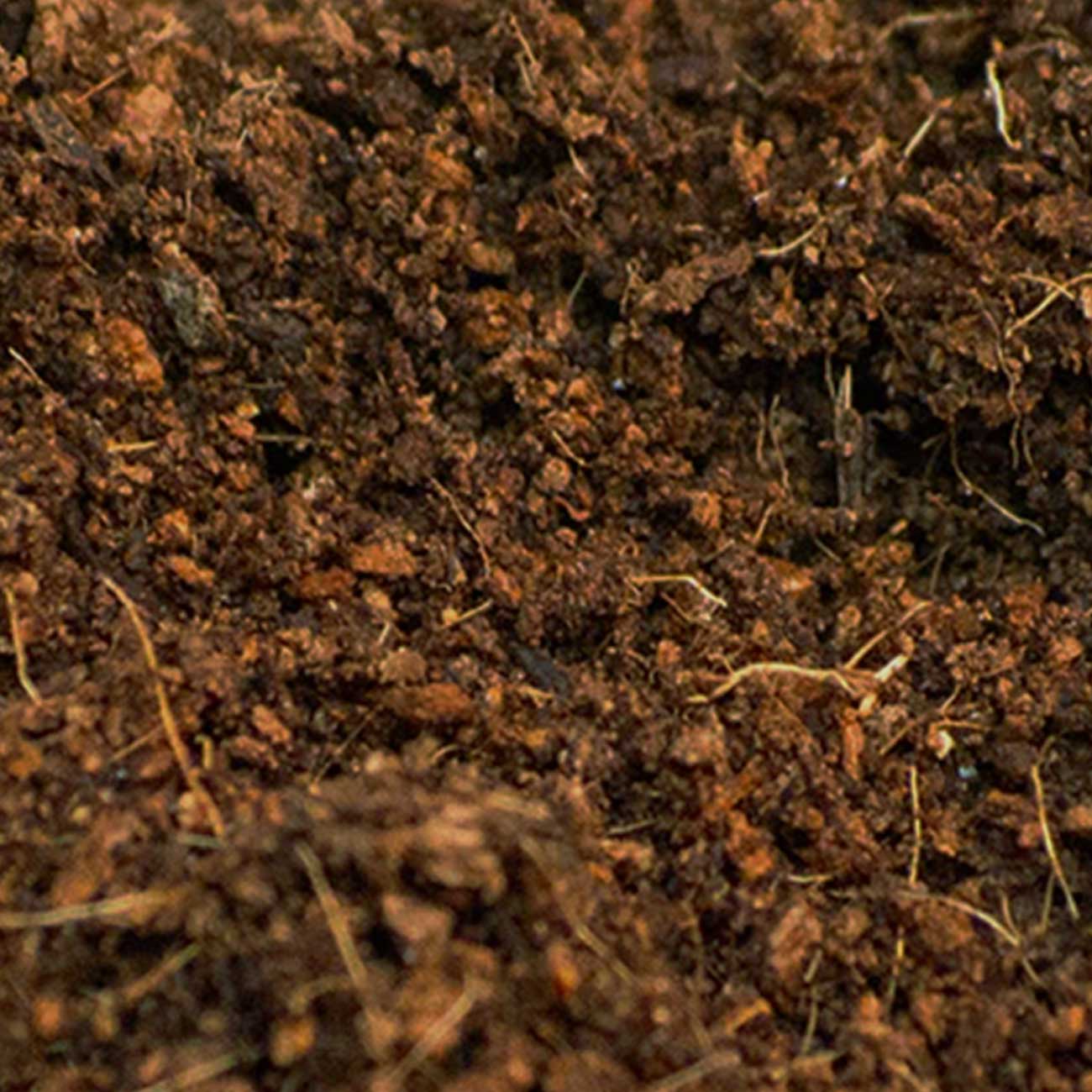 CoCo Coir
