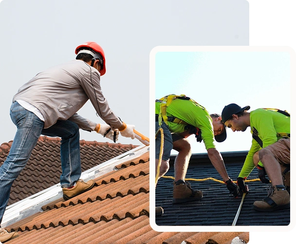 Standards & eligibility (NSW)