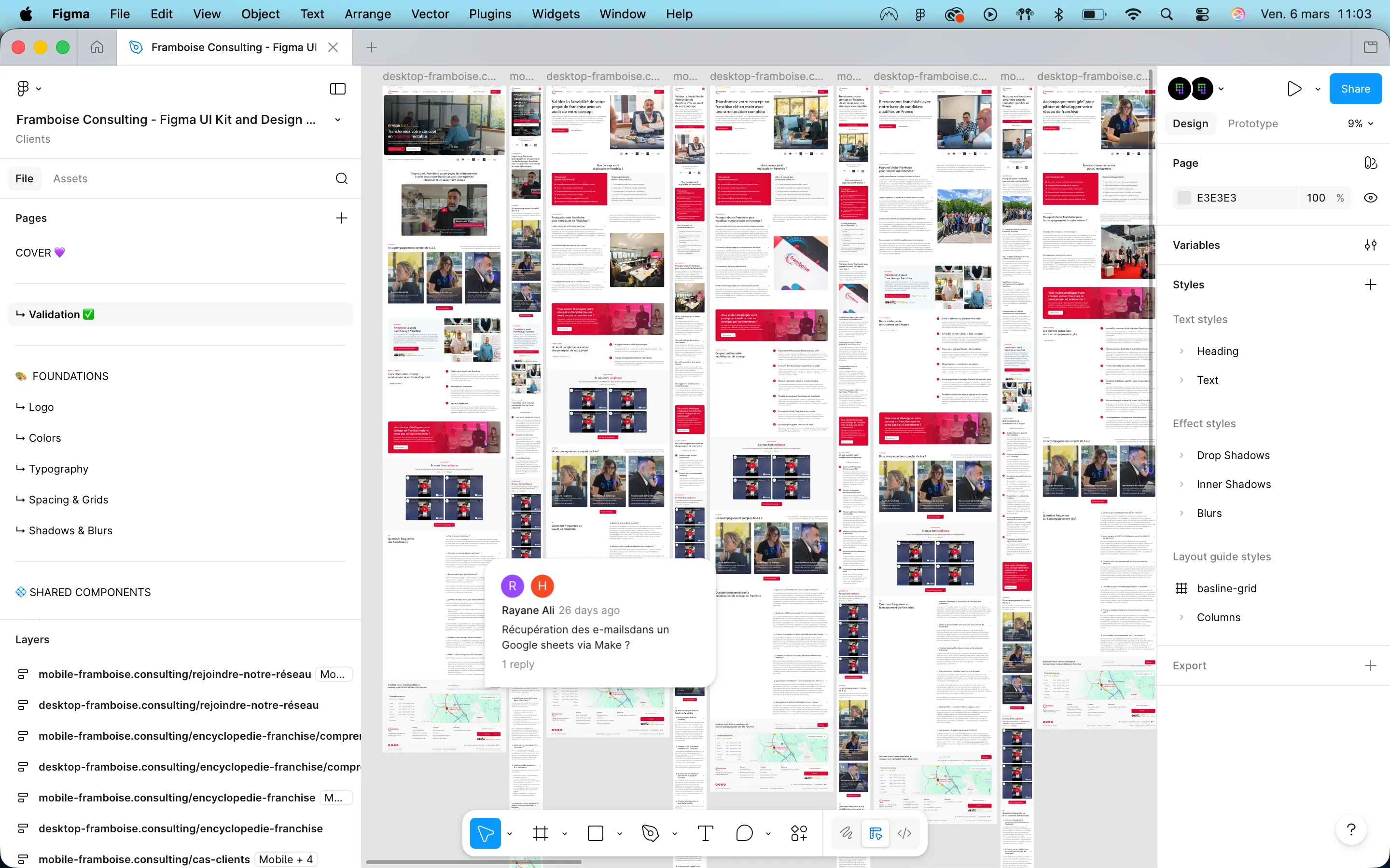Interface Figma maquettes design Framboise Consulting pages desktop mobile