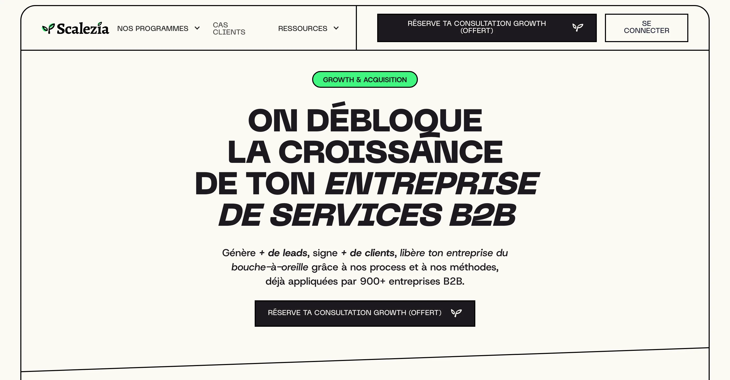 Scalezia homepage, growth support for B2B service firms