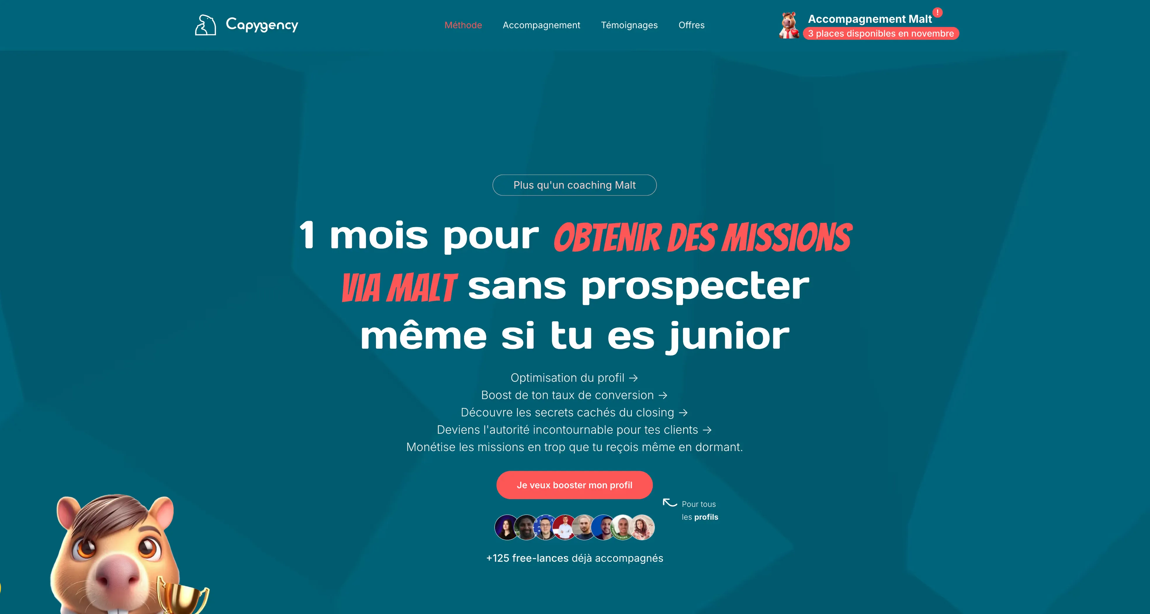 Capygency : visuel du projet réalisé par Noqode (1 sur 3)