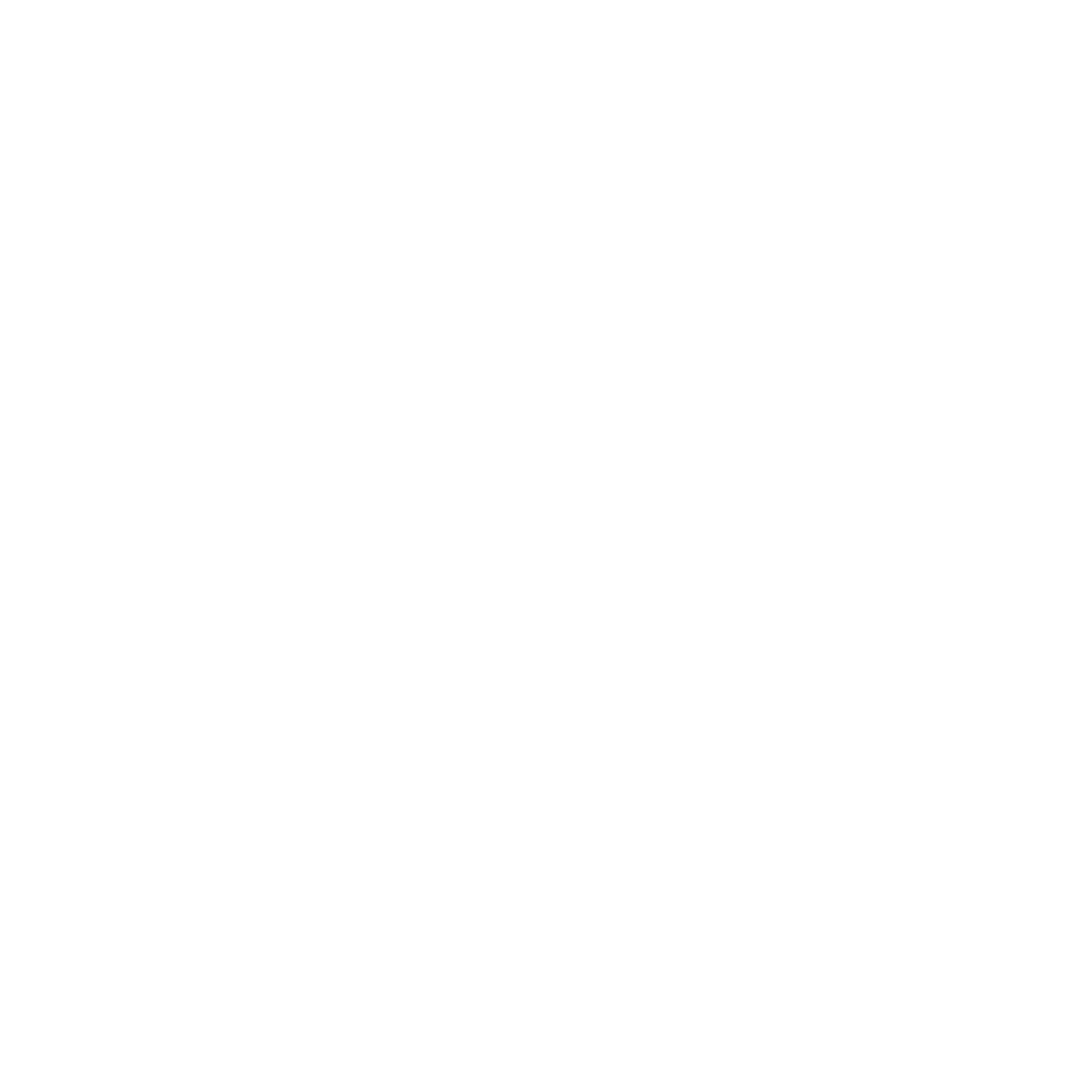 Budget Logo