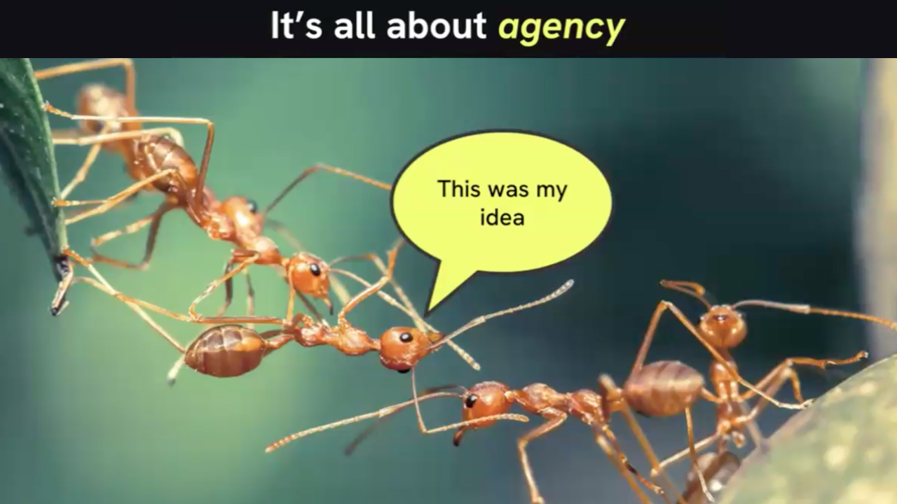 Build Your Own SOP AI Agent