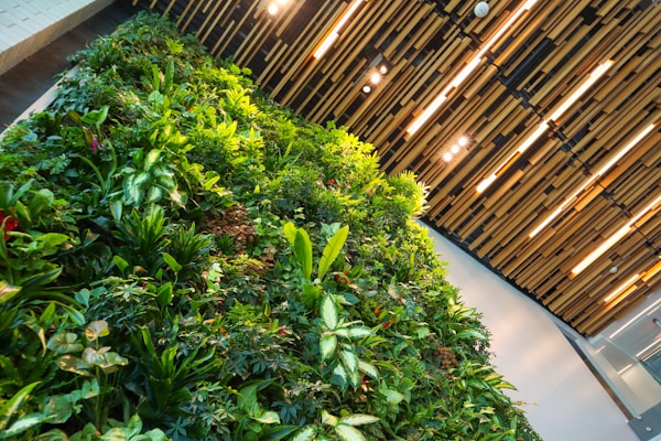 Two story living wall in the lobby of Building 1 @Highland in Baton Rouge, LA. 

Property Address:
1 Smart Way, Baton Rouge, LA 70810

This building currently has space available For Lease. Office and/or Restaurant use. Visit our website elifinrealty.com.