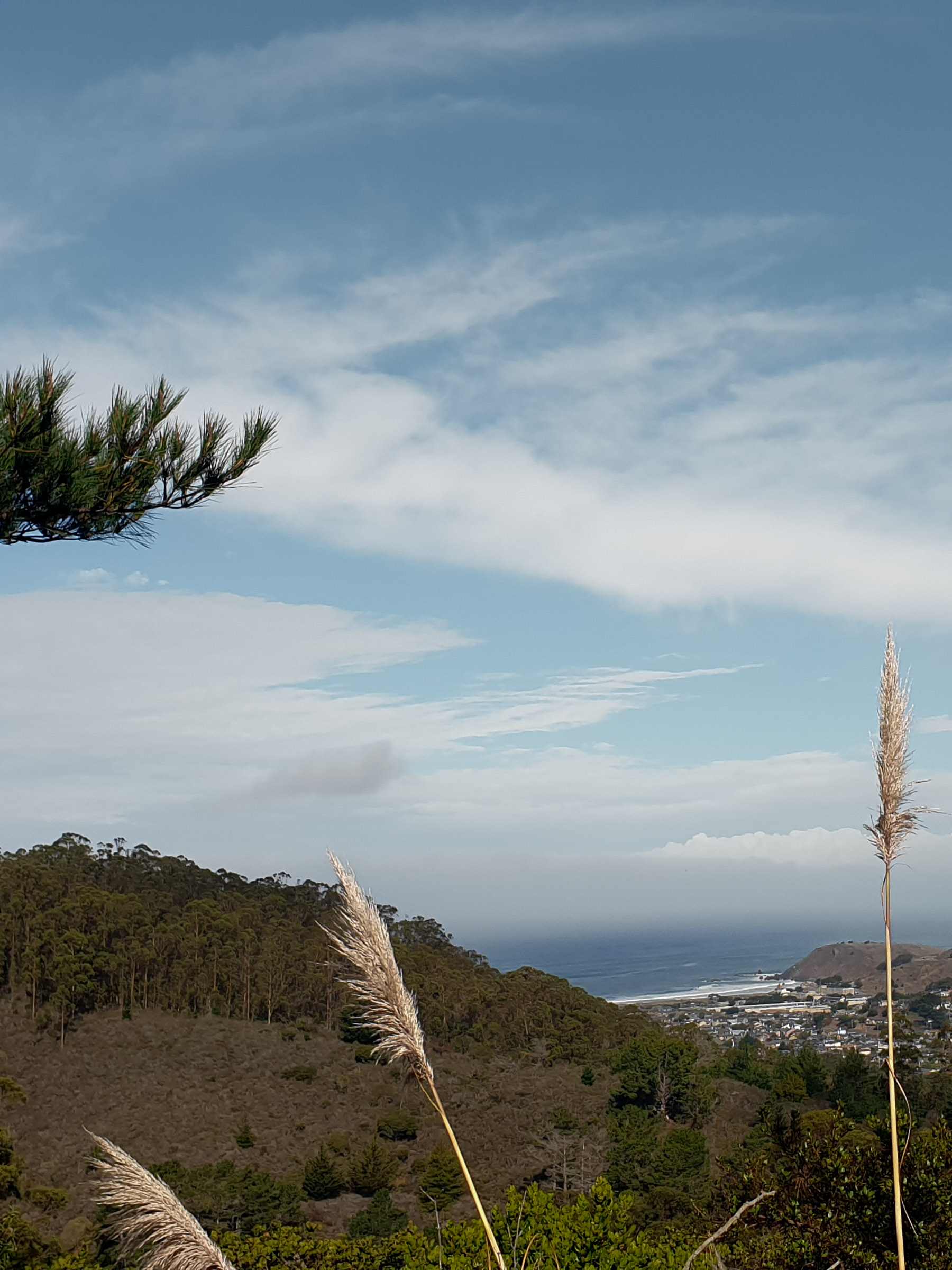 View from the hilltop site overlooking Pacifica’s coastline and ocean horizon.