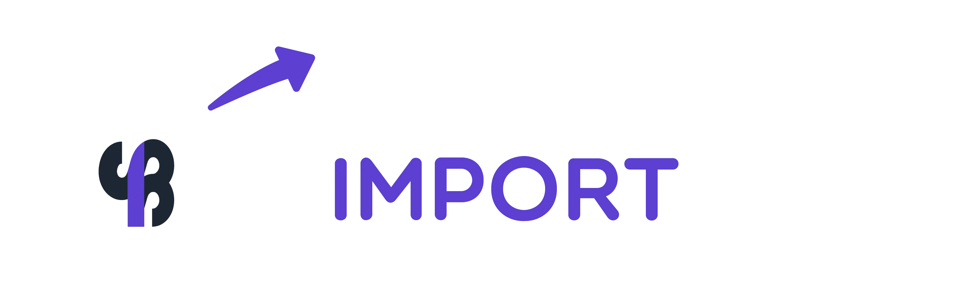 Blue arrow icon with stylized B logo and IMPORT text on white background