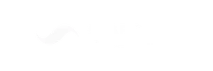Seaborne logo with a simple light gray curved line on a white background
