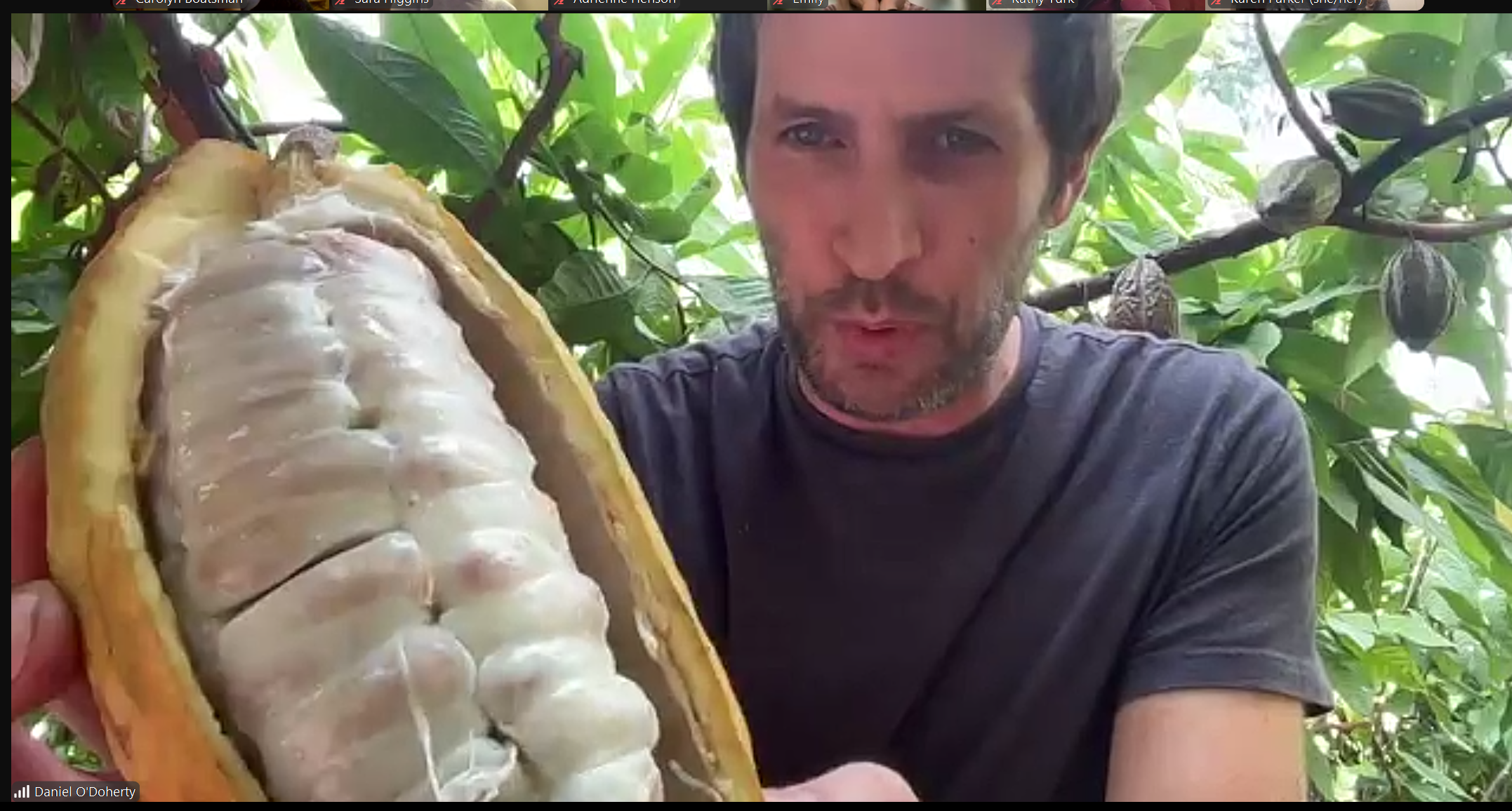 Dan ODoherty with cacao pod on Zoom