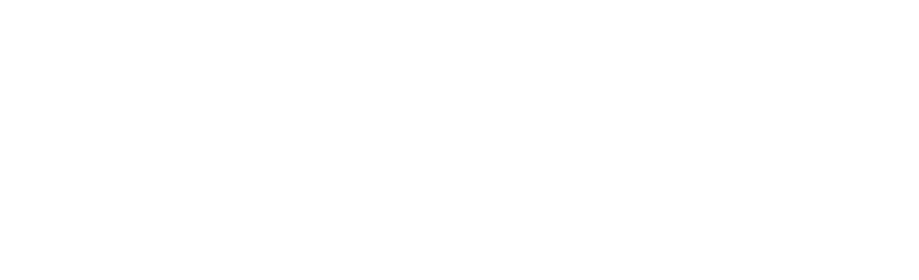 Logo HMT Blanc