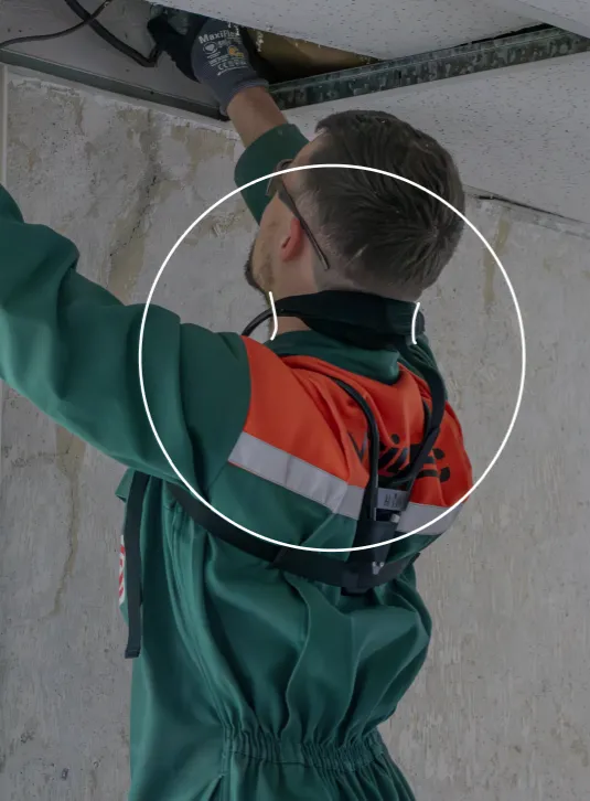 Vignette exosquelette cervicales