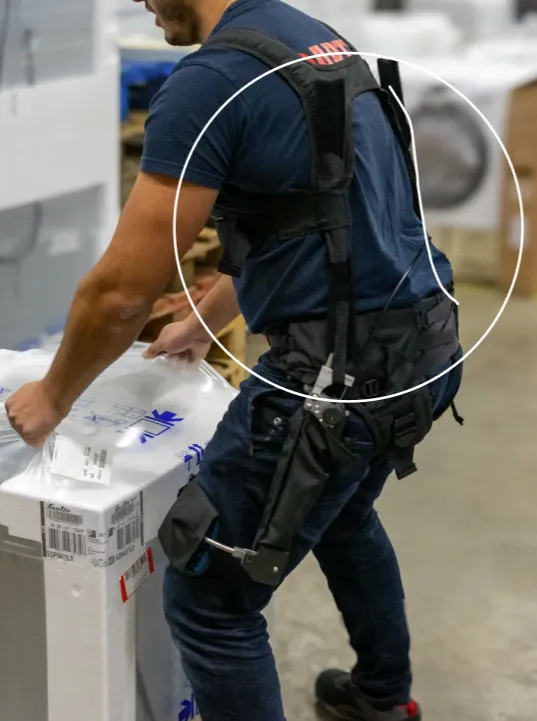 Vignette exosquelette dos