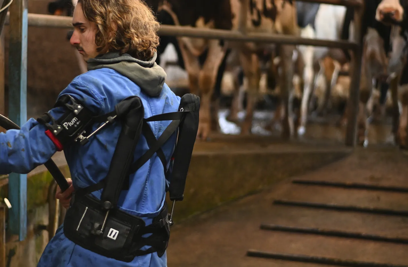 Exosquelette agricole - exemple dans une salle de traite