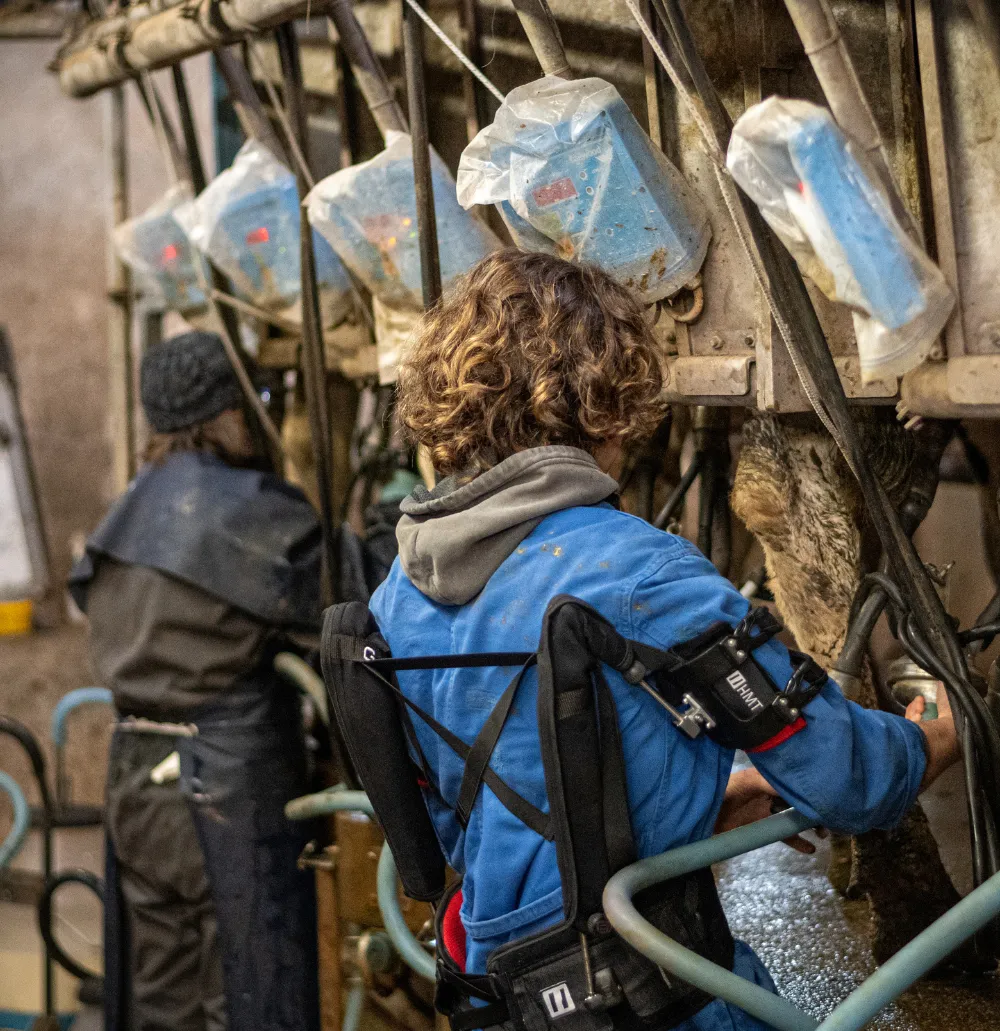 exosquelette pour la traite de vaches