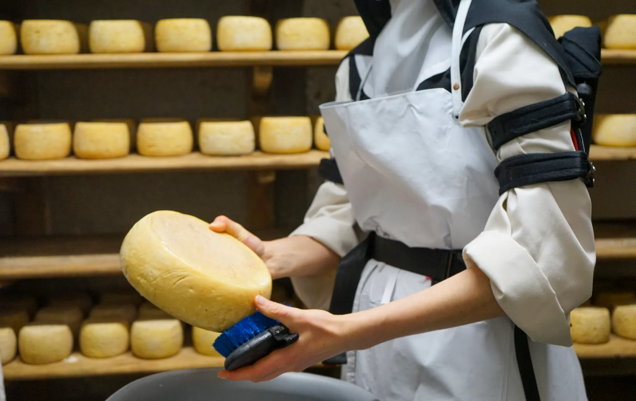 Exosquelette dans l'agroalimentaire sur préparation fromagère