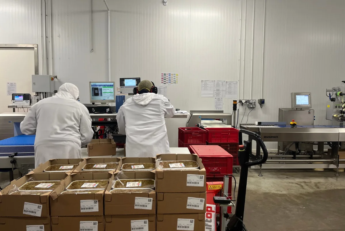 Plum intégré dans l'industrie de la viande