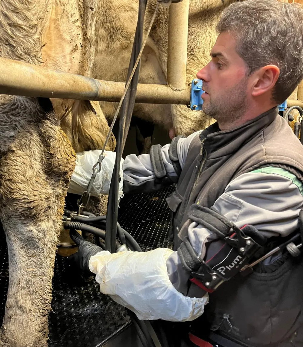 exosquelette pour la traite - Patrice