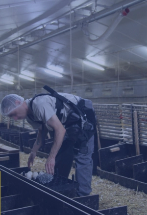 exosquelette Wave dans une couvoir