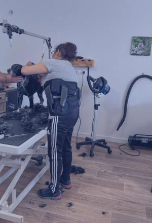 exosquelette Japet.W+ sur toiletteur
